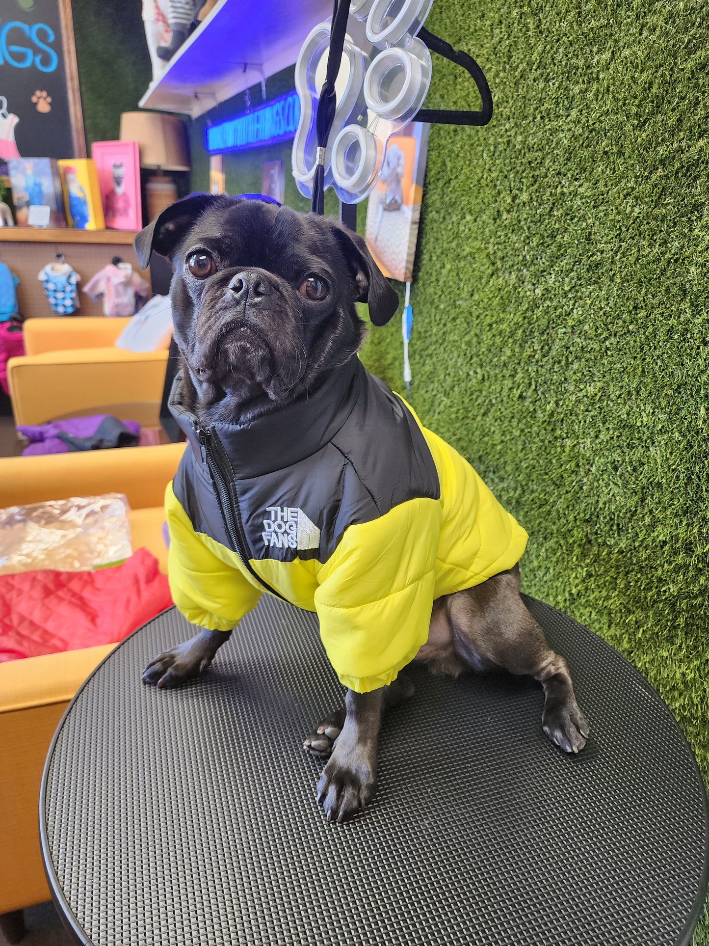 The Dog Fans Jacket