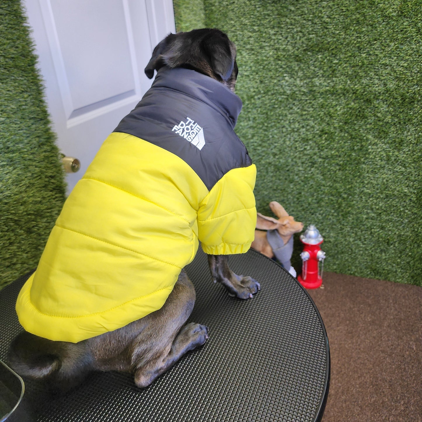 The Dog Fans Jacket