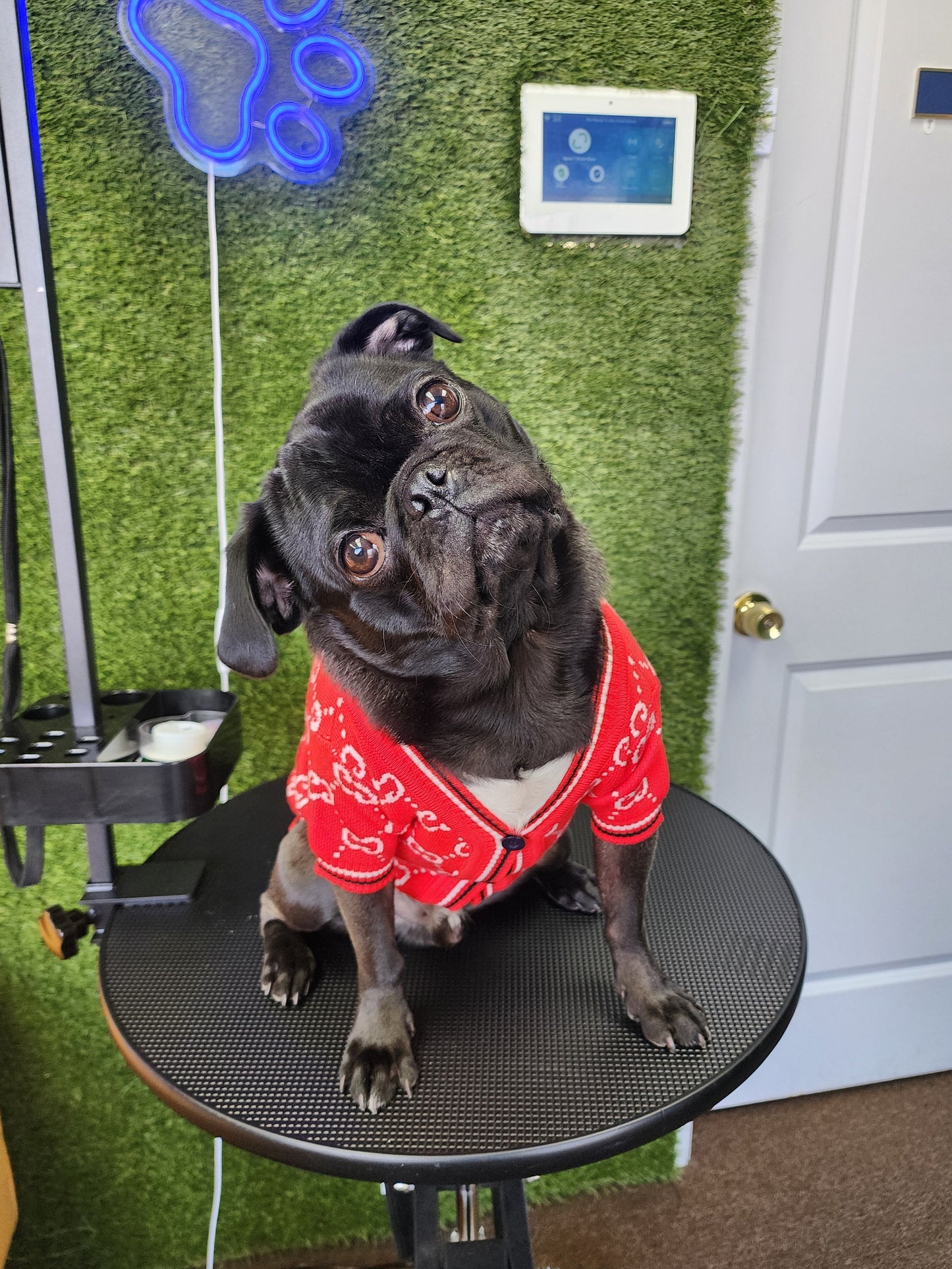 Designer Inspired C Sweater for Small Dogs