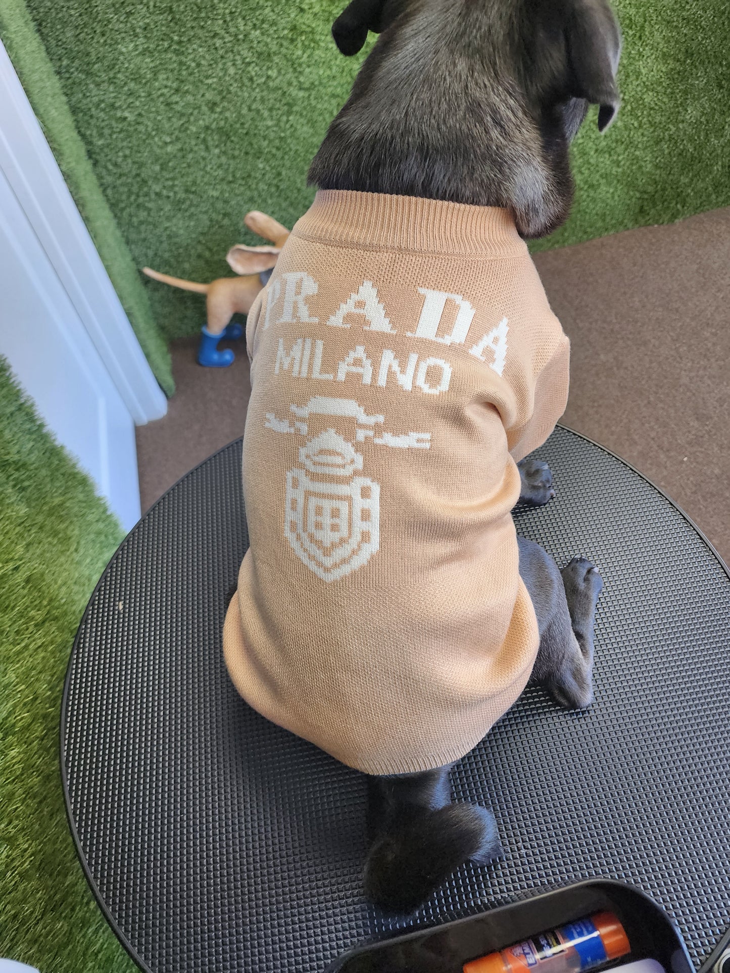 Designer Inspired P Sweater for Small Dogs