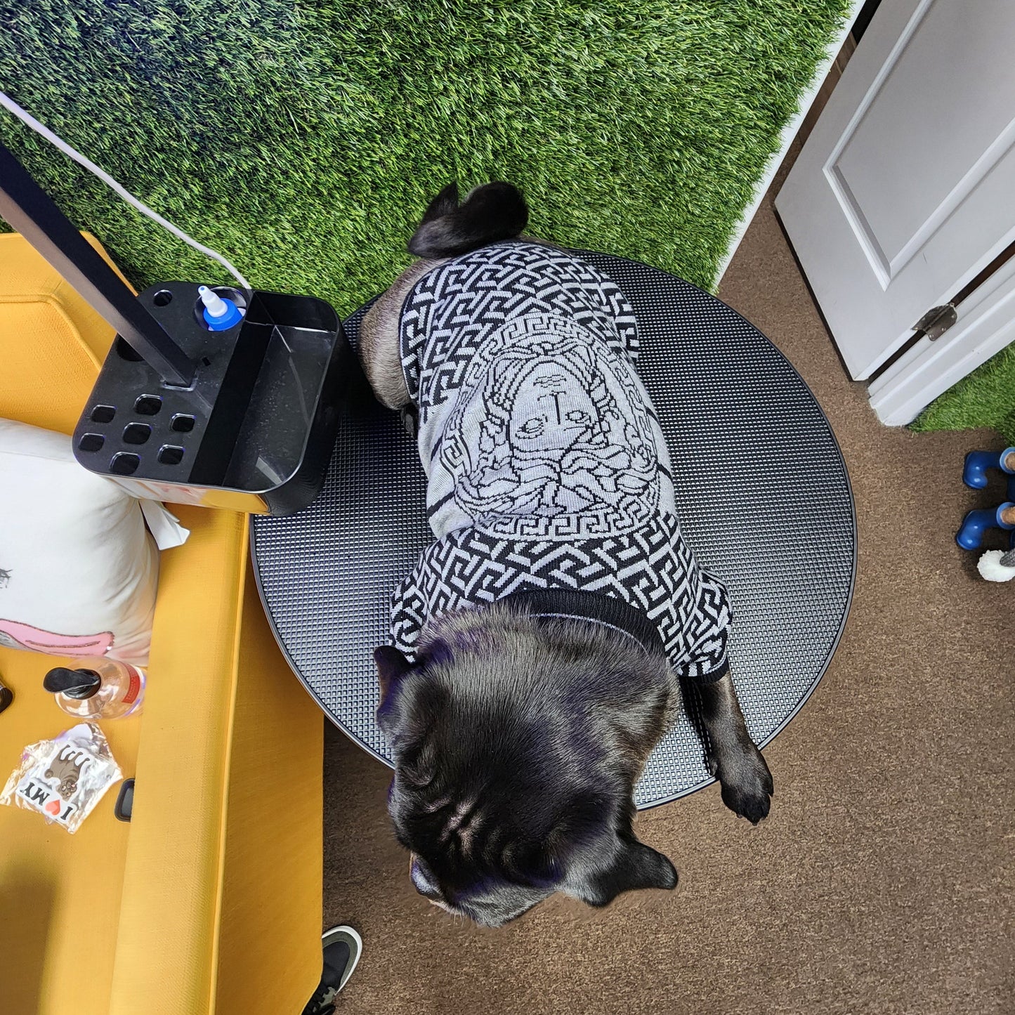 Designer Inspired V Sweater