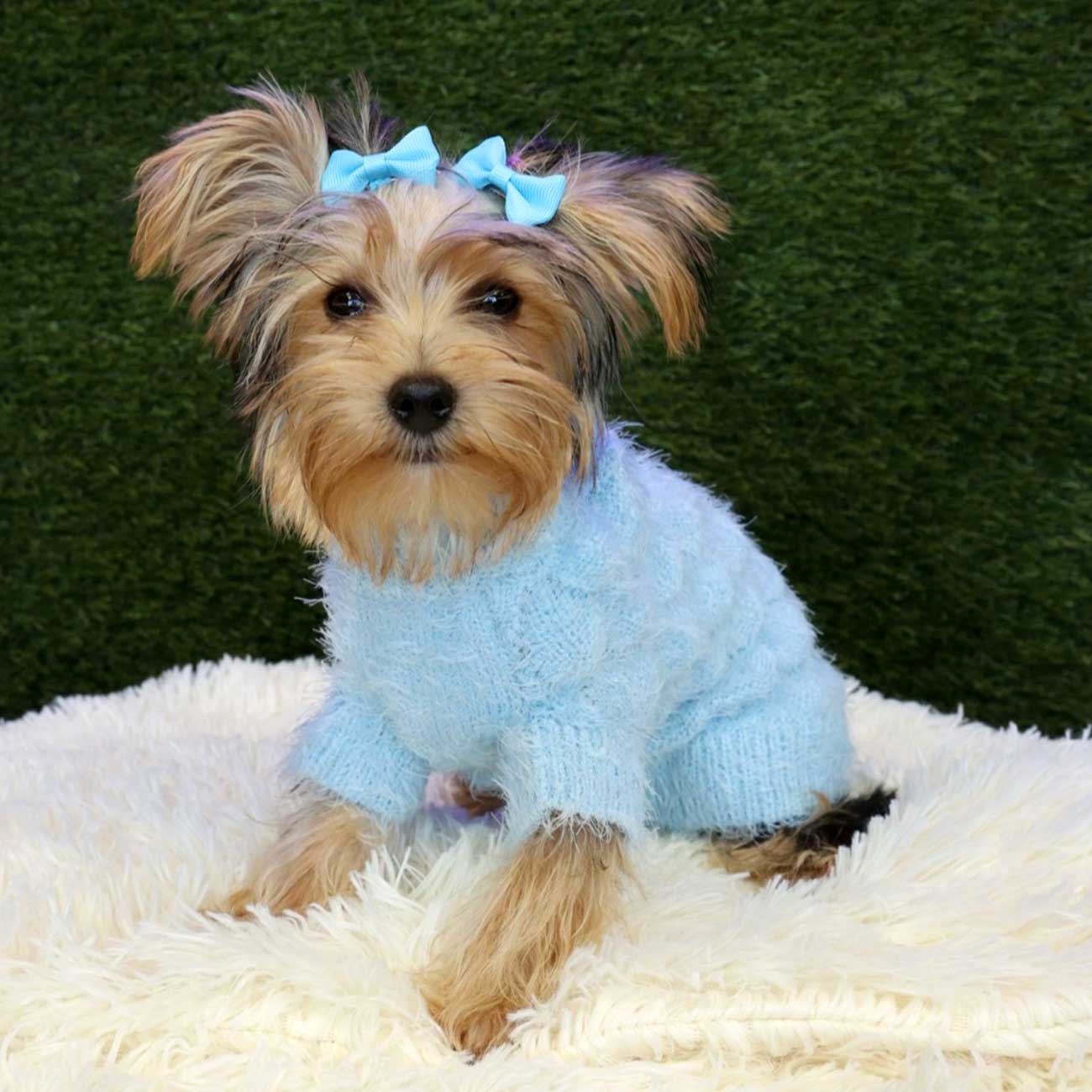 Cozy Blossom Pet Sweater