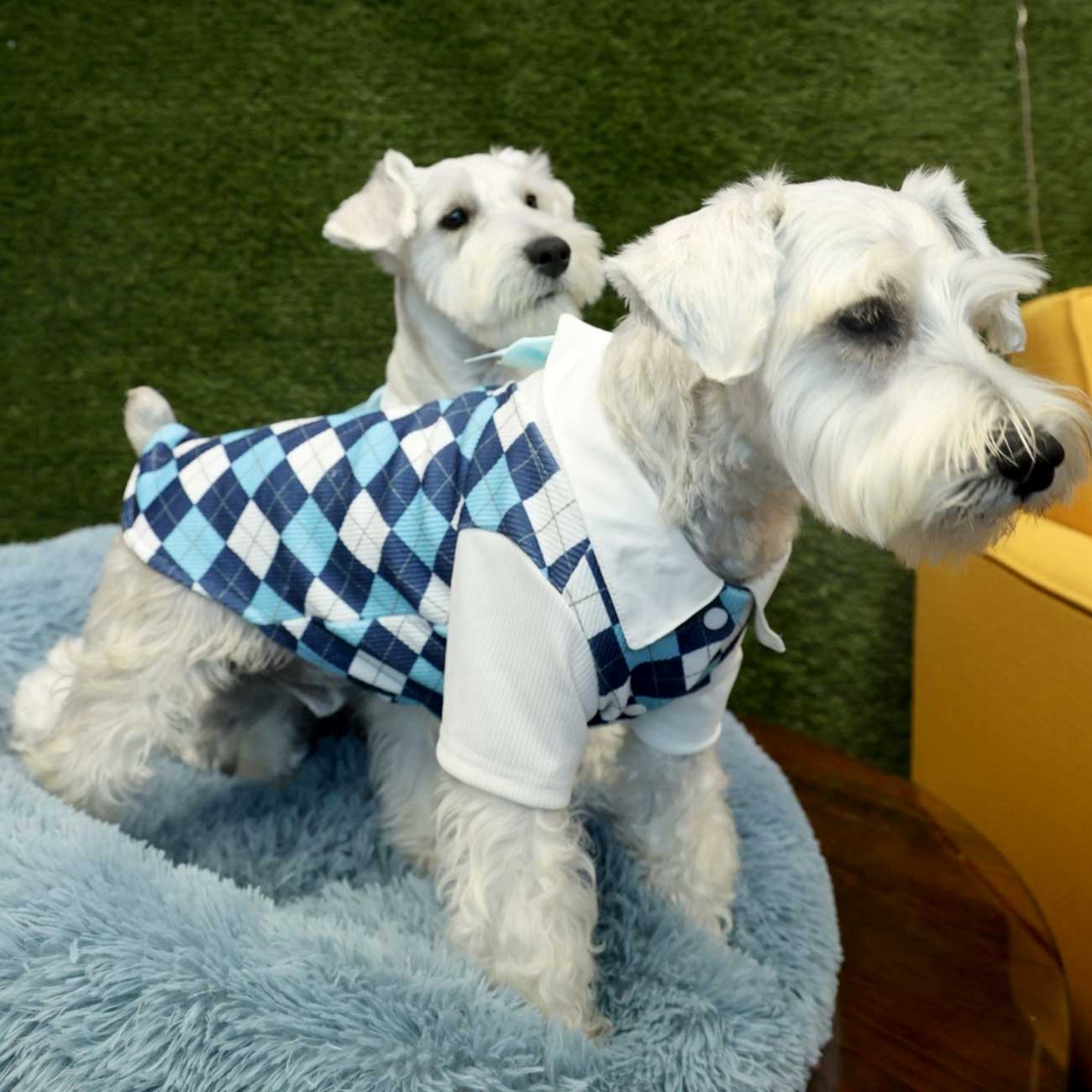 Cool Blue Plaid Summer Pet Shirt