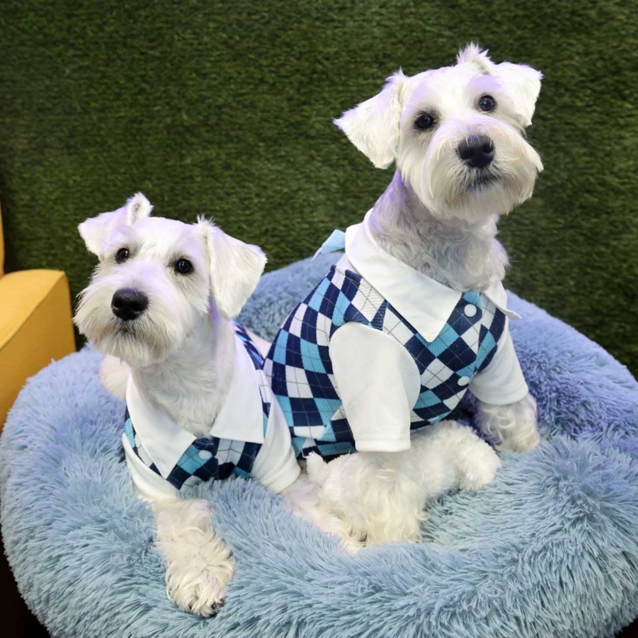 Cool Blue Plaid Summer Pet Shirt