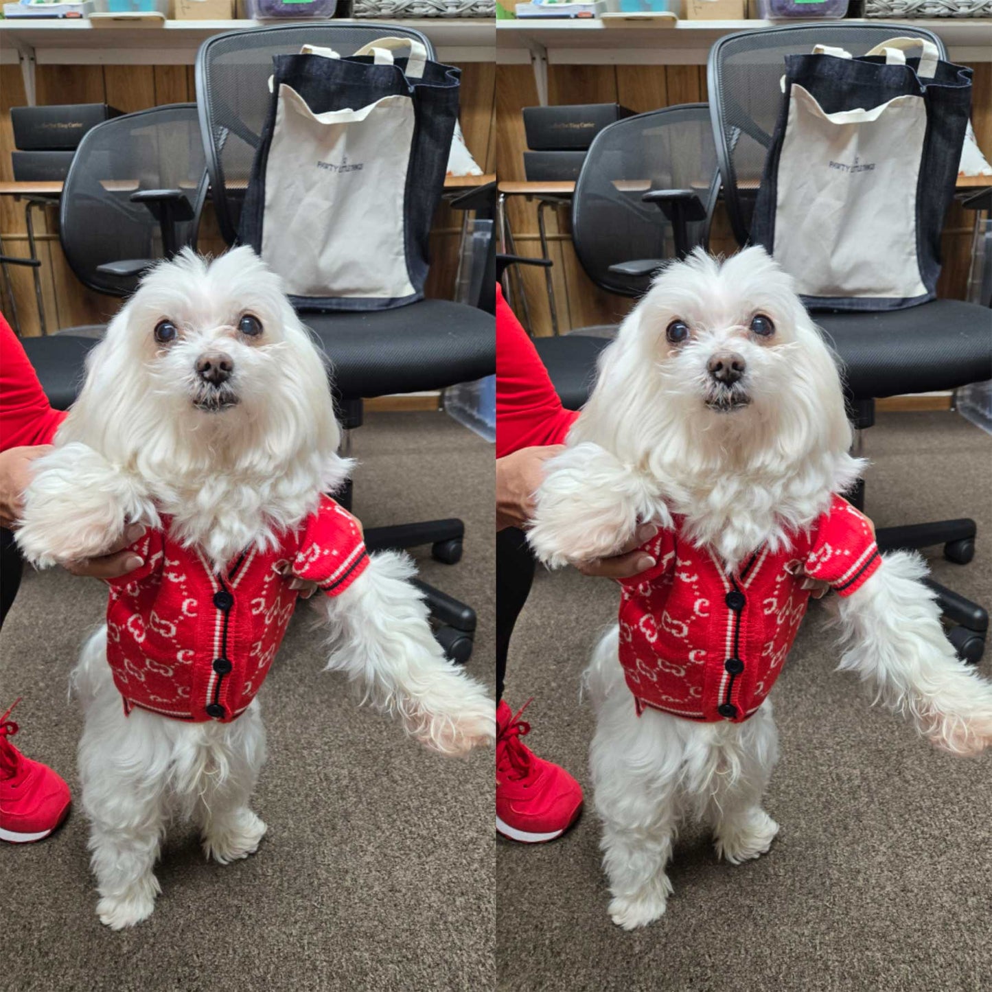 Designer Inspired C Sweater for Small Dogs