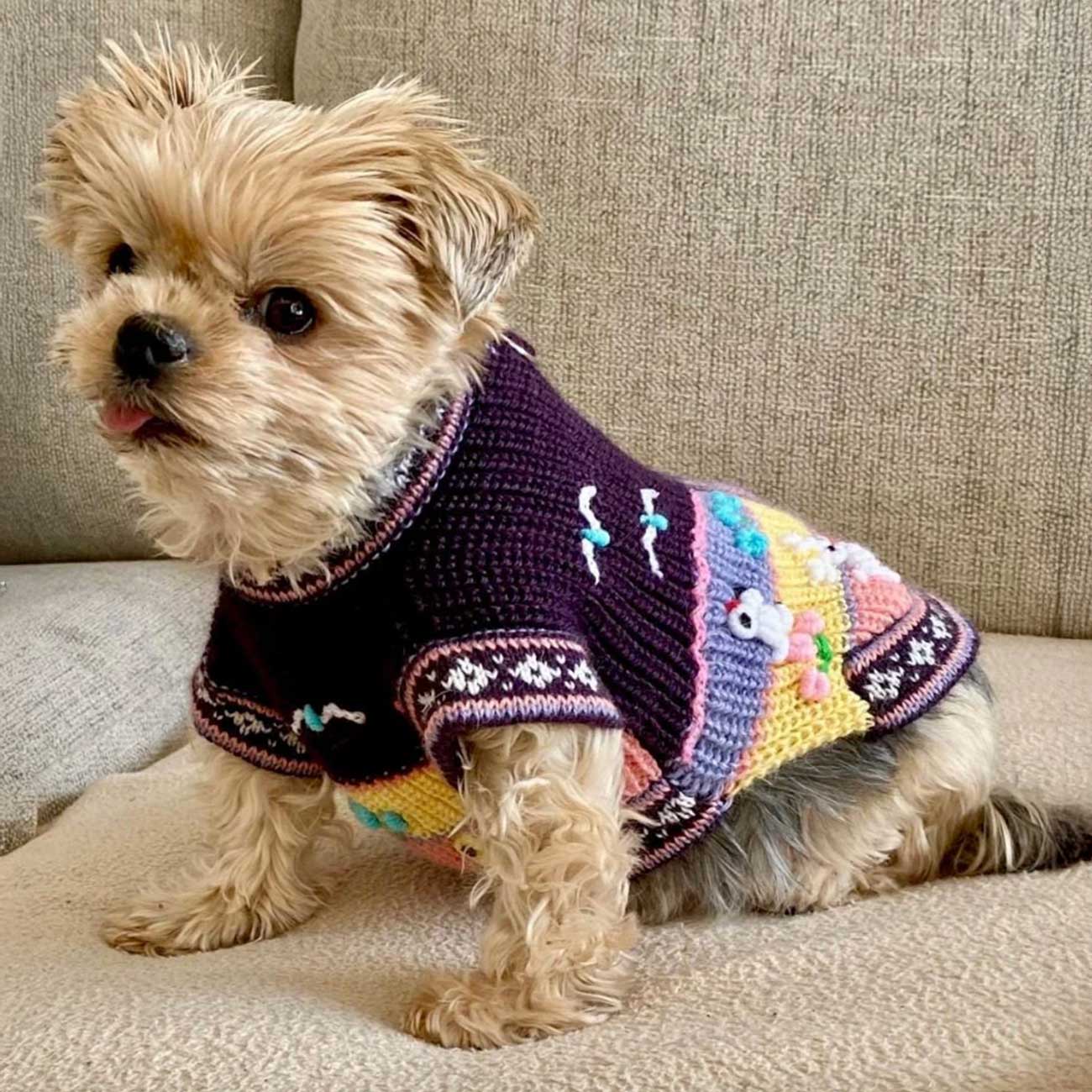 Peruvian Alpaca Pet Sweater with Zipper – Fashionable Apparel for Your Pet