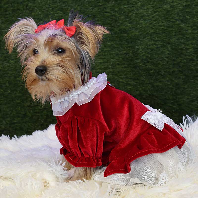 Cute Bowknot Lace Trim Pet Dress