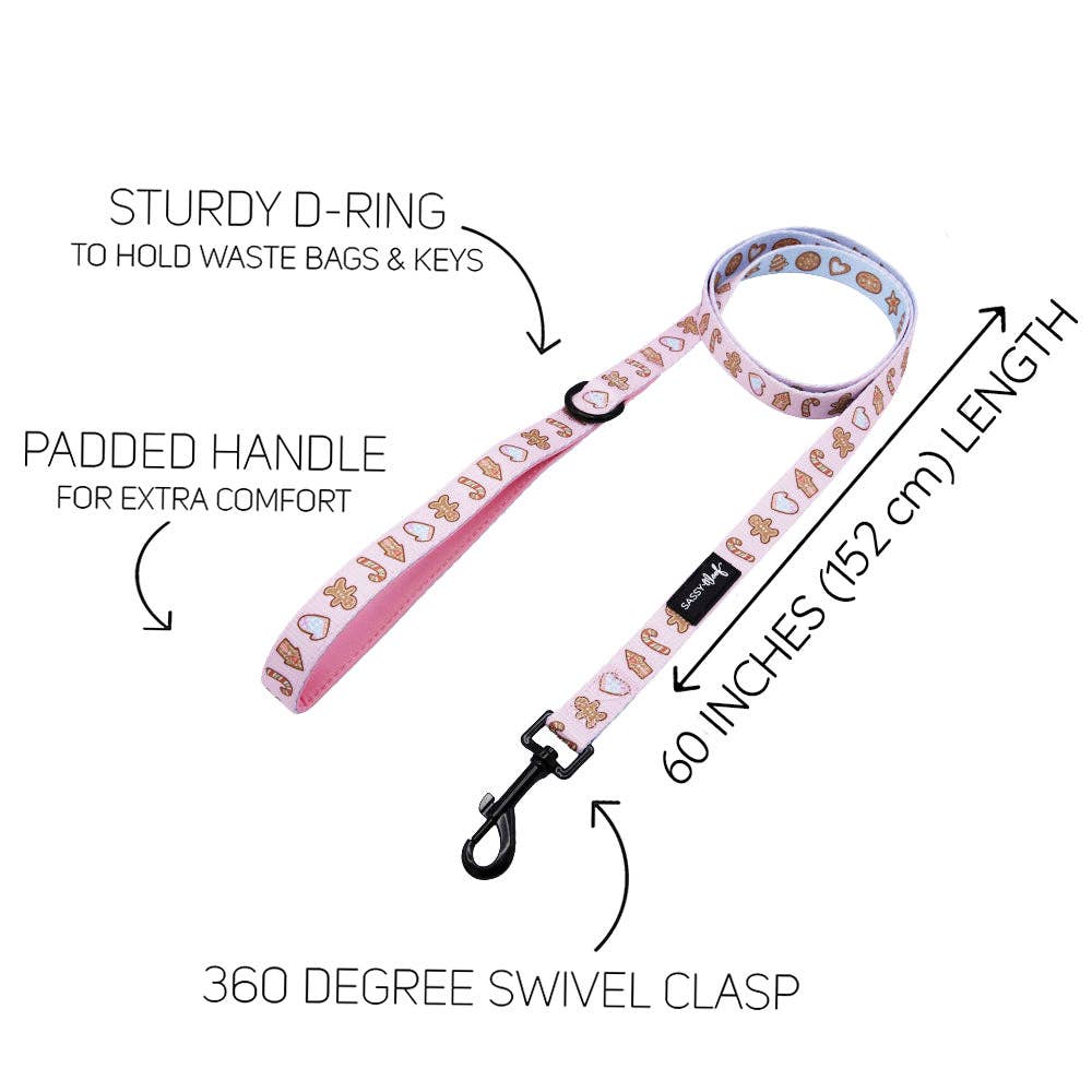 Dog leash with features highlighted on a white background