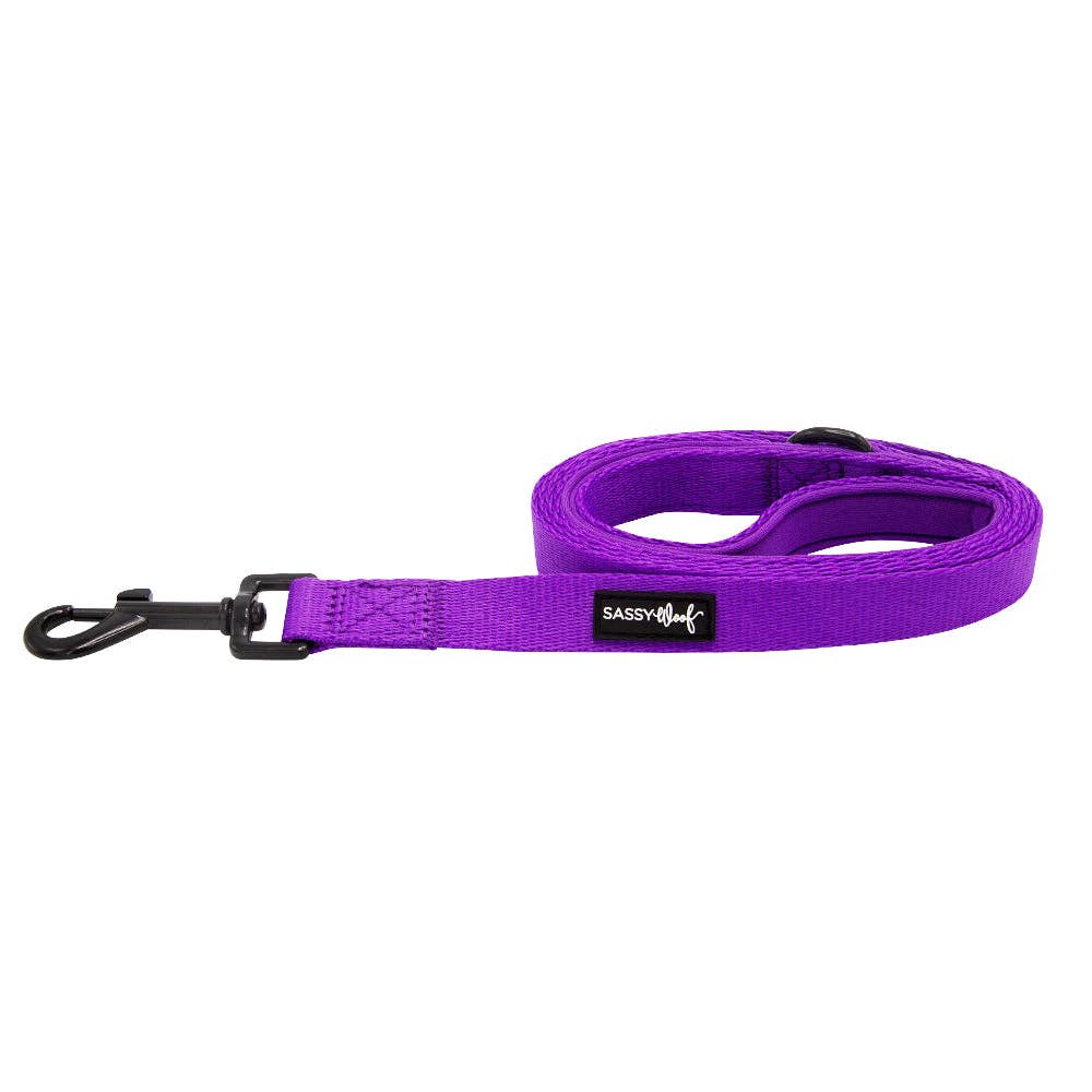 Purple dog leash with a black clip on a white background