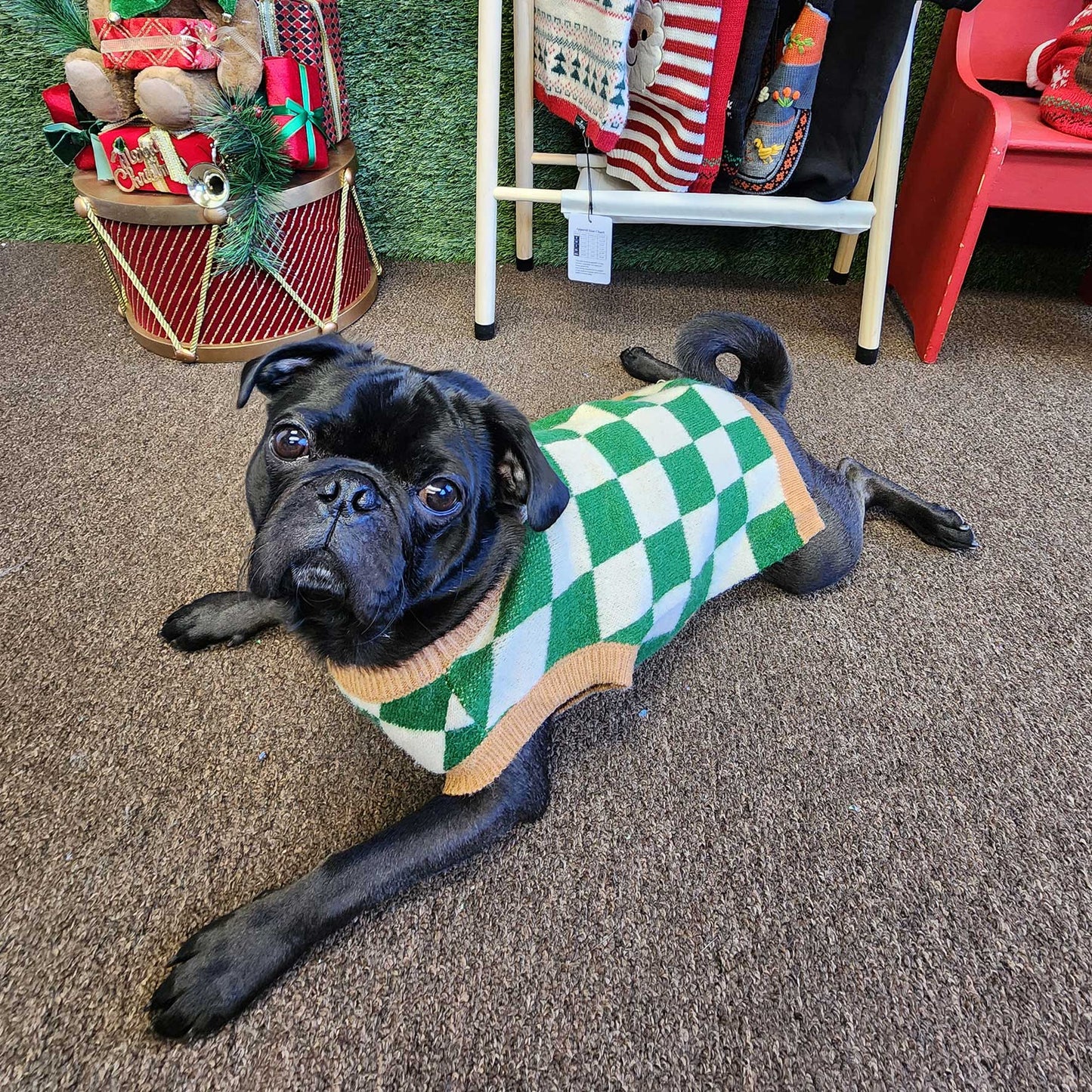 Green Checkered Pet Sweater – Soft, Stretchy, and Perfect for Outdoor Adventures