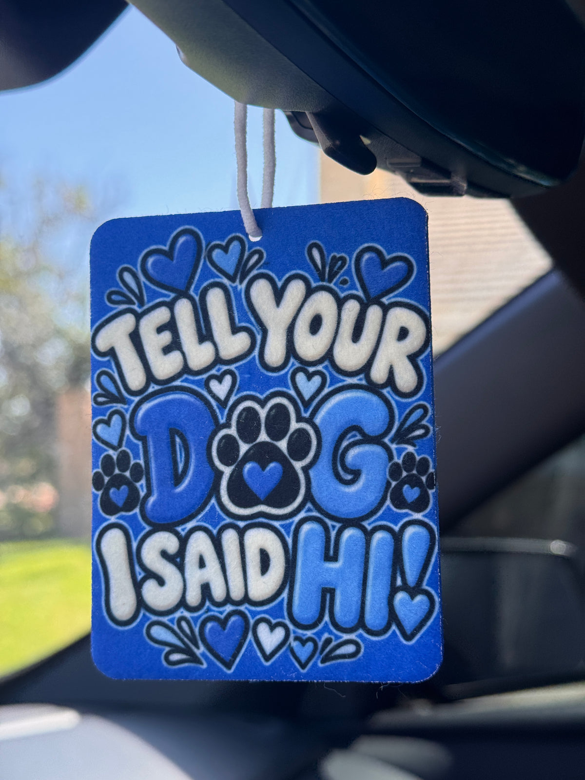 Blue Cositas and Creations Air Freshener, 3x4