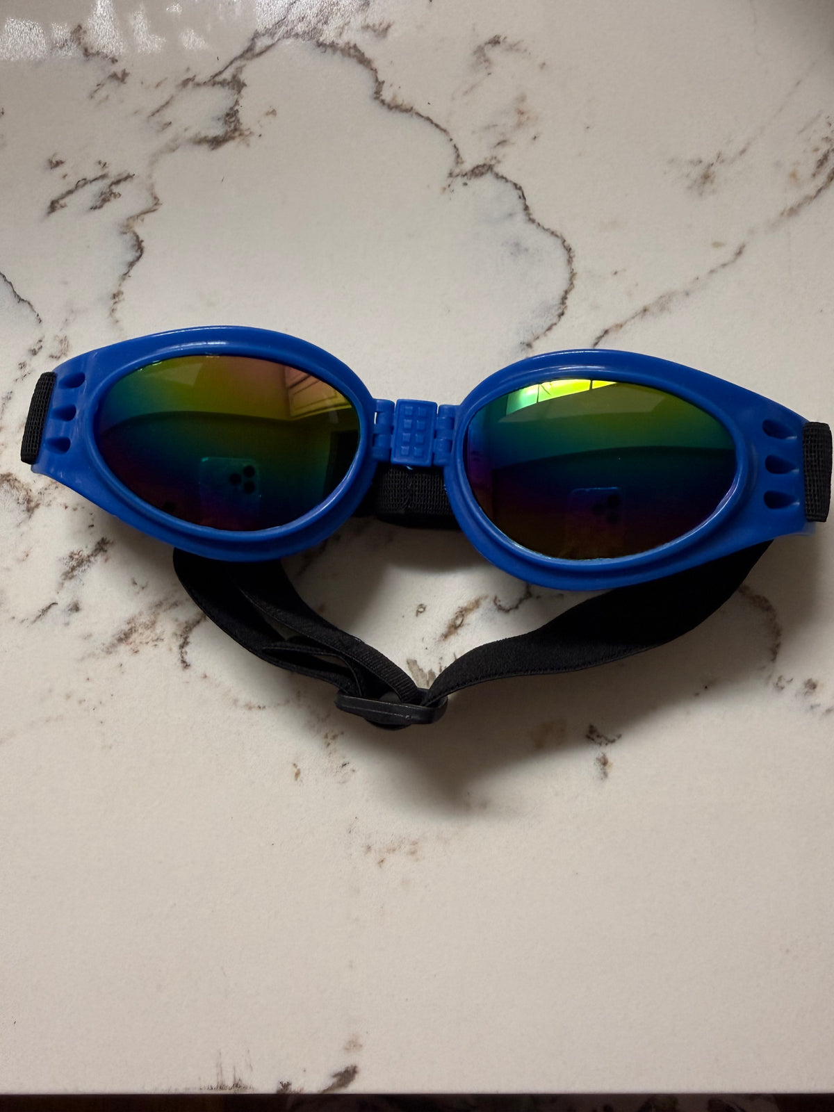 Blue Im4pawscreation Googles, large