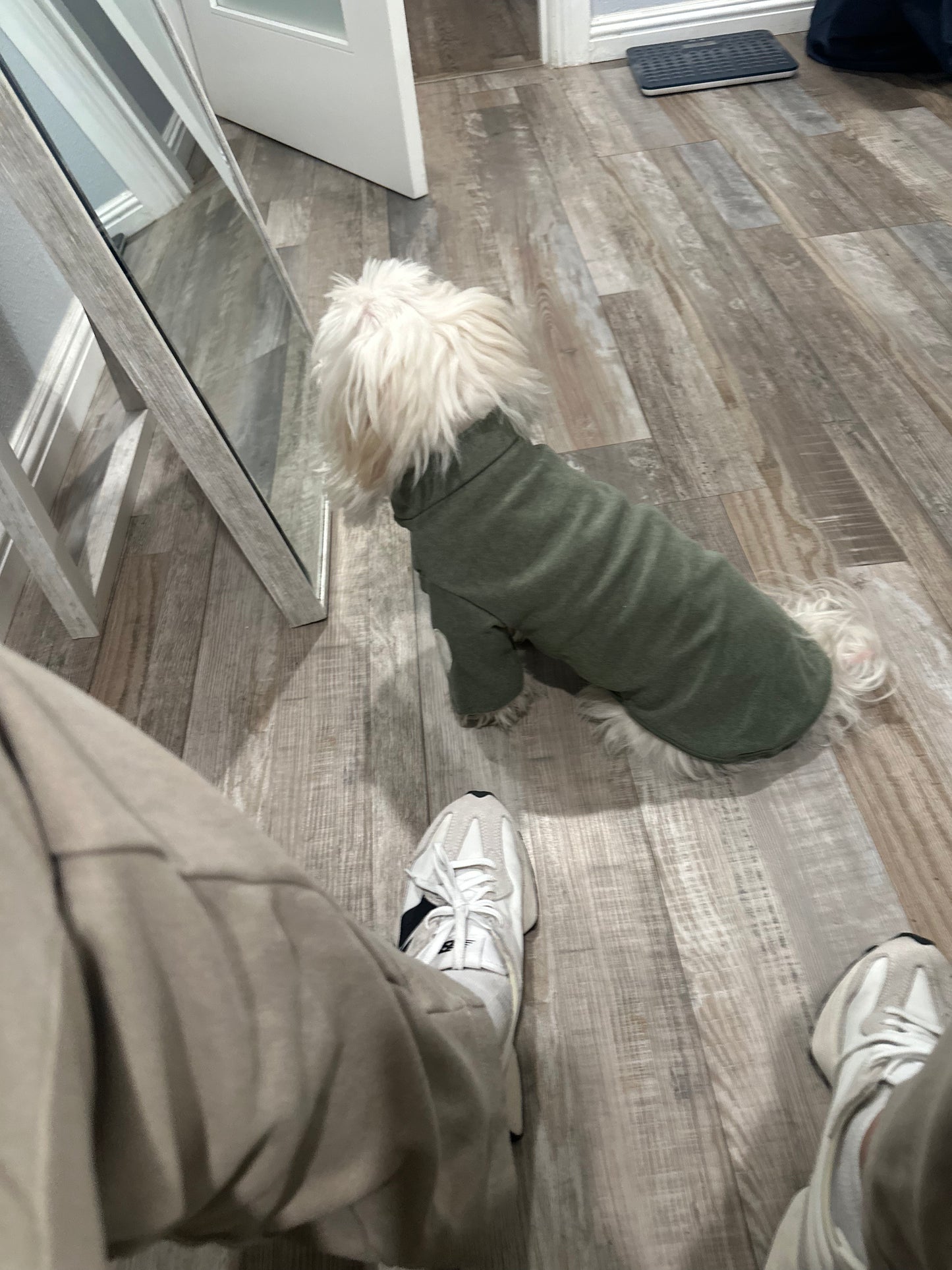 Heart Sleeve Dog Shirt