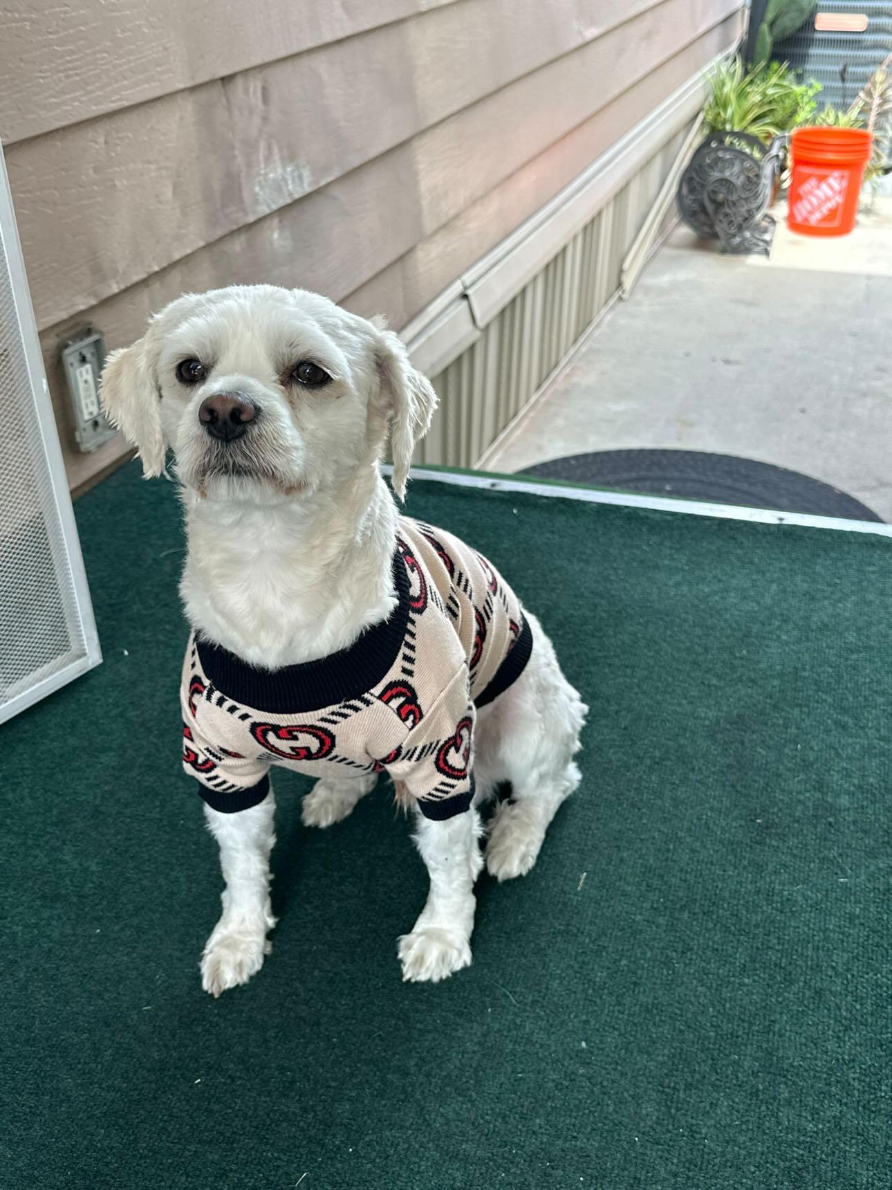 Designer G Inspired Brown Sweater With Red