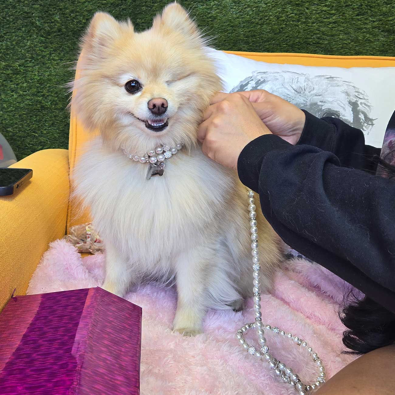 Elegant Jewelry Pearl Pet Collar Leash Set