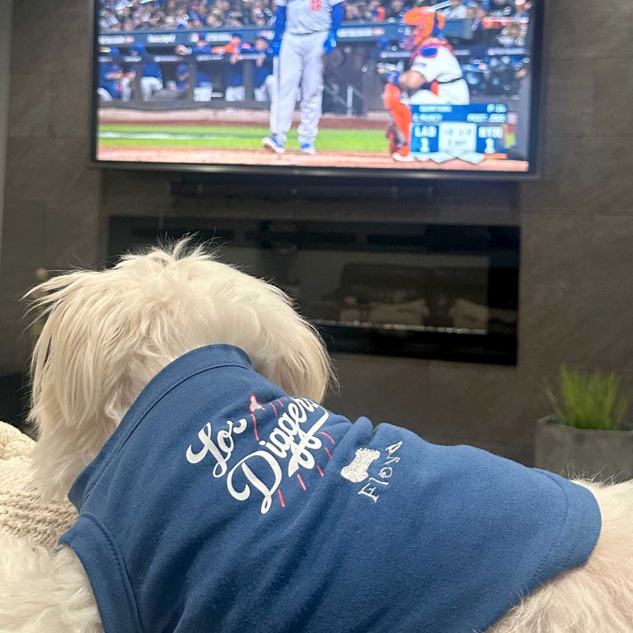 "Los Diggers" Pet Apparel Shirts - Los Angeles Dodgers Inspired Custom Pet Shirts