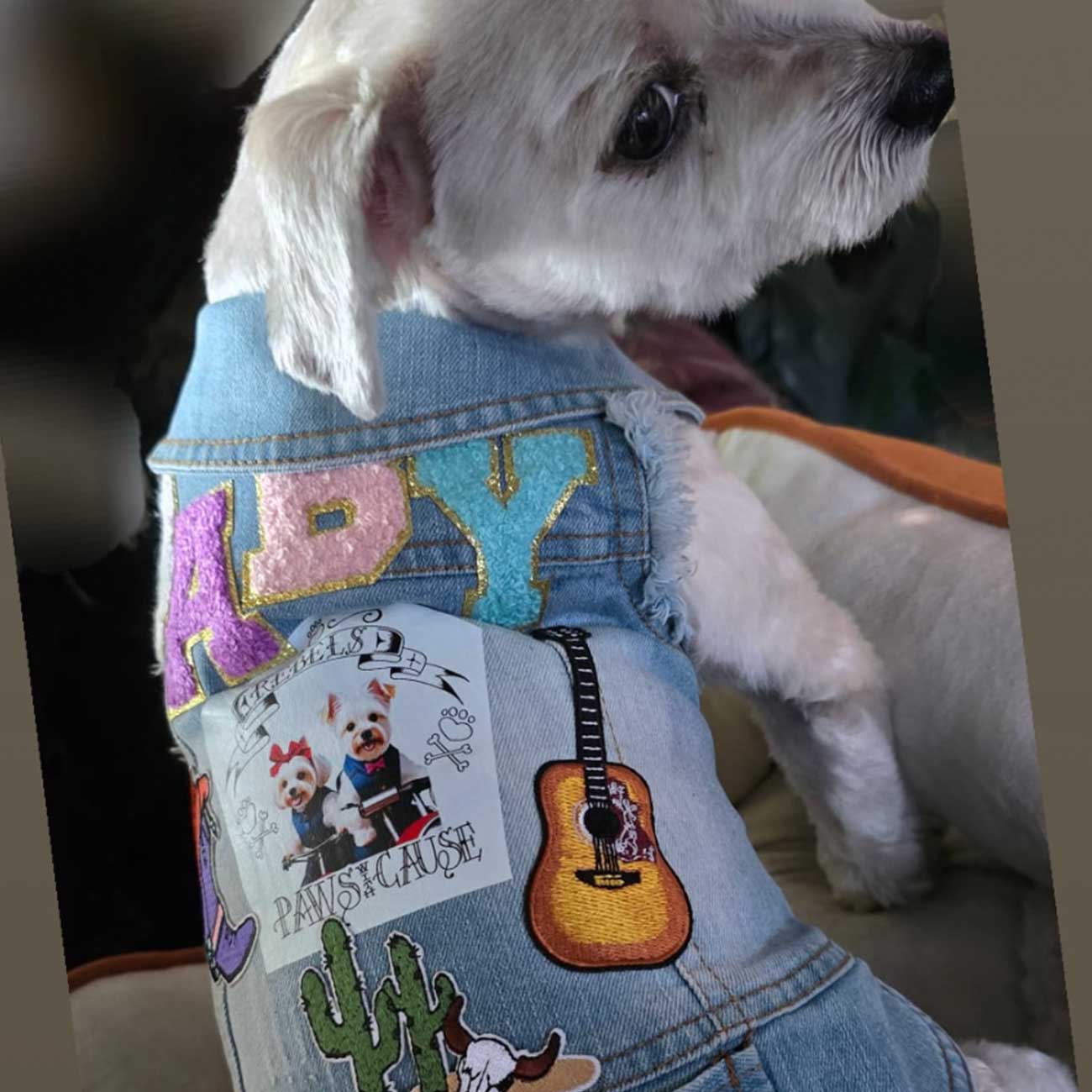 Paws with a Cause Denim Pet Vests
