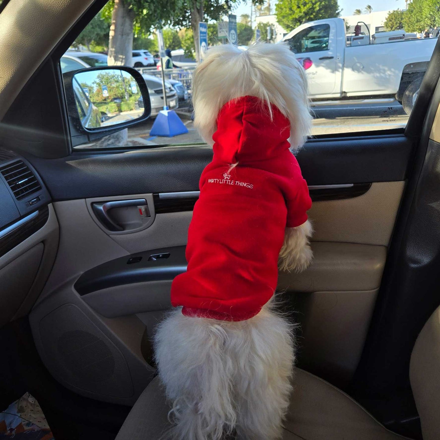 Pawty Little Things Pet Sweatshirt with Hoodie