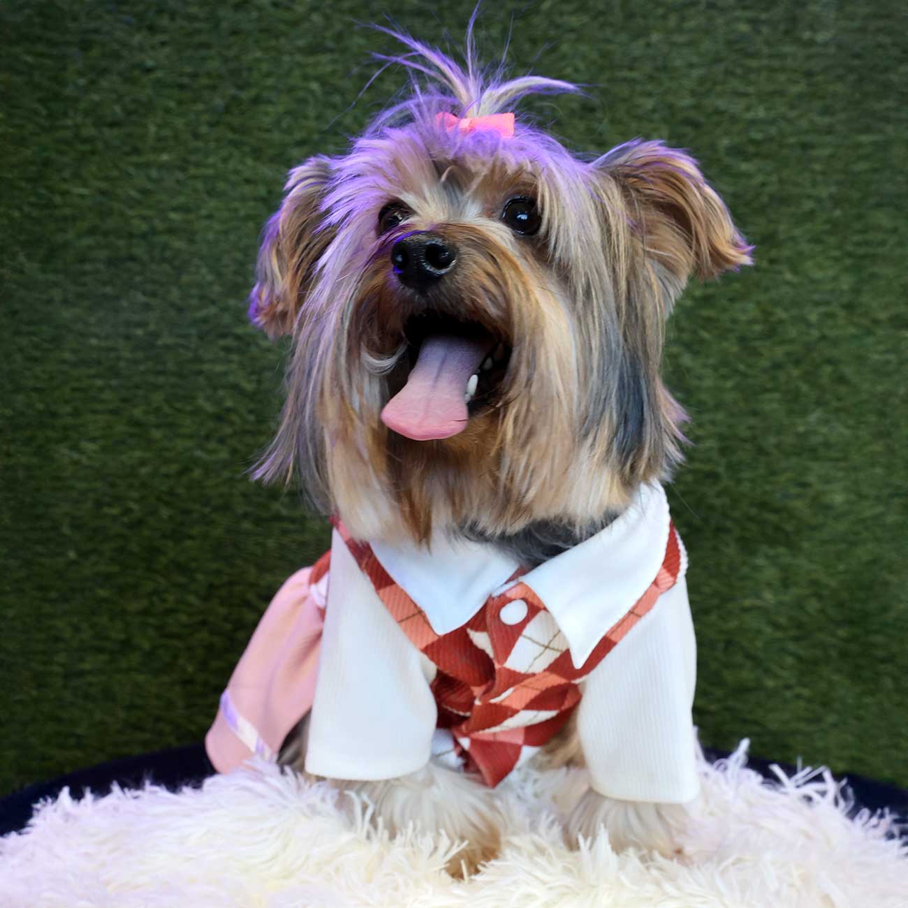 Elegant Pink Plaid Pet Dress for Summer