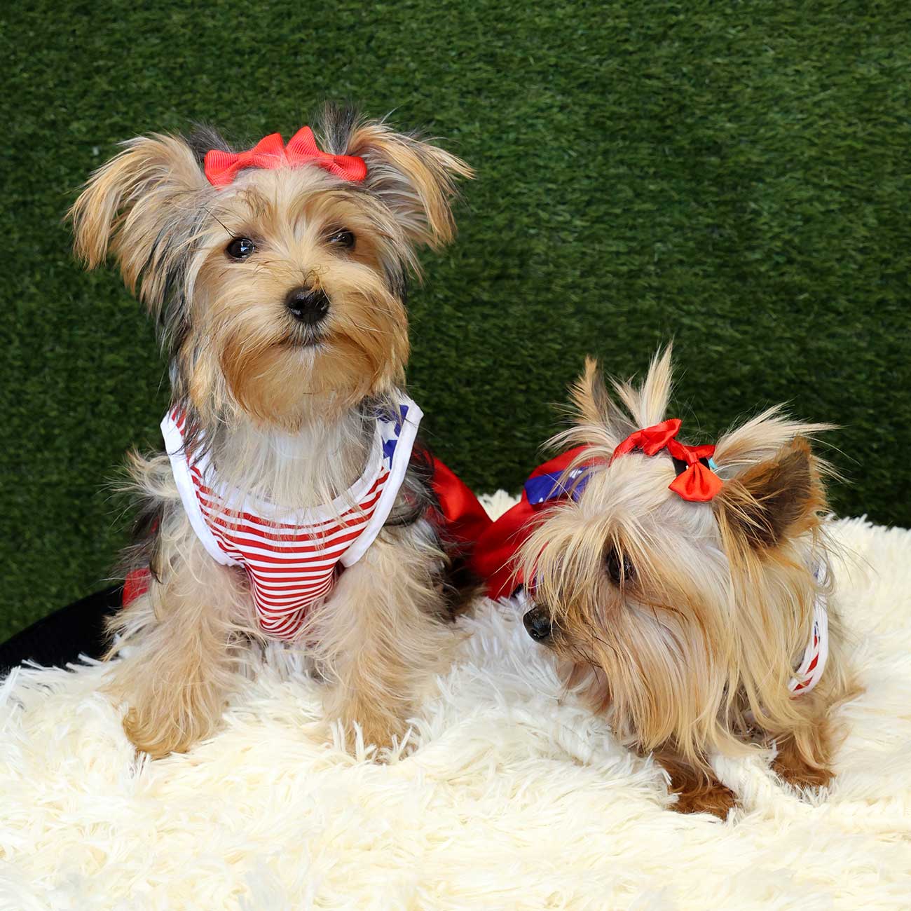 Stylish Americana Flag Pet Dress
