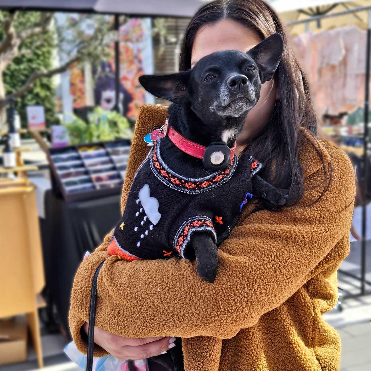 Peruvian Alpaca Pet Sweater with Zipper - Fashionable Apparel for Your Pet