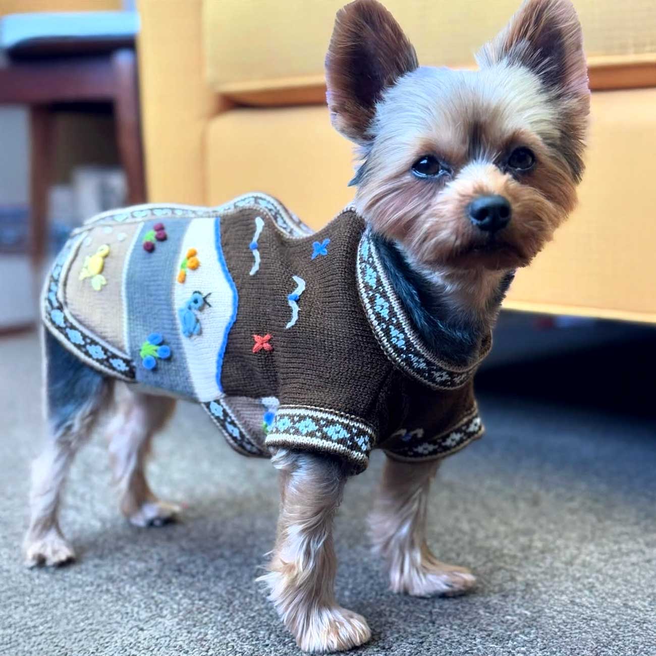 Peruvian Alpaca Pet Sweater with Zipper - Fashionable Apparel for Your Pet