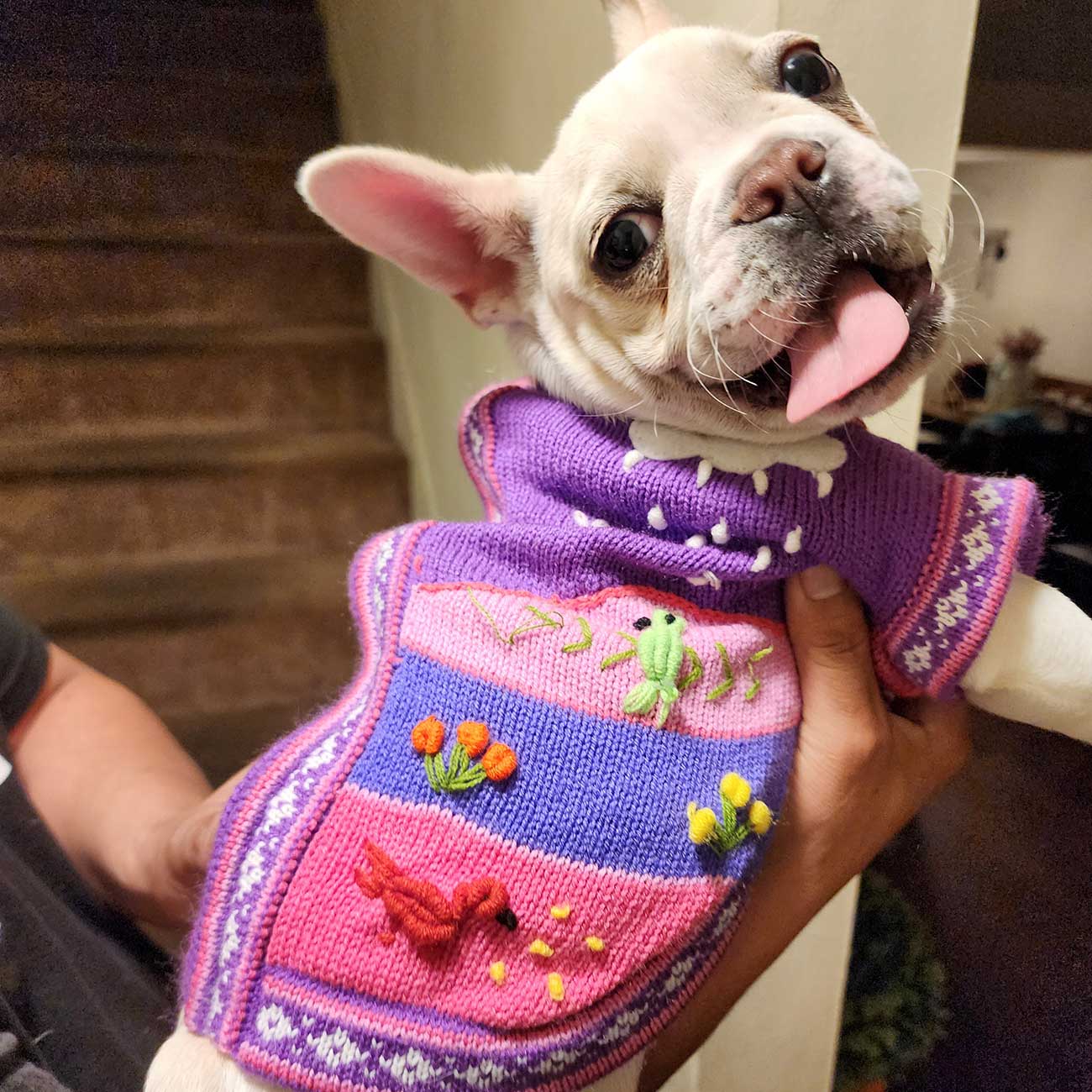 Peruvian Alpaca Pet Sweater with Zipper - Fashionable Apparel for Your Pet