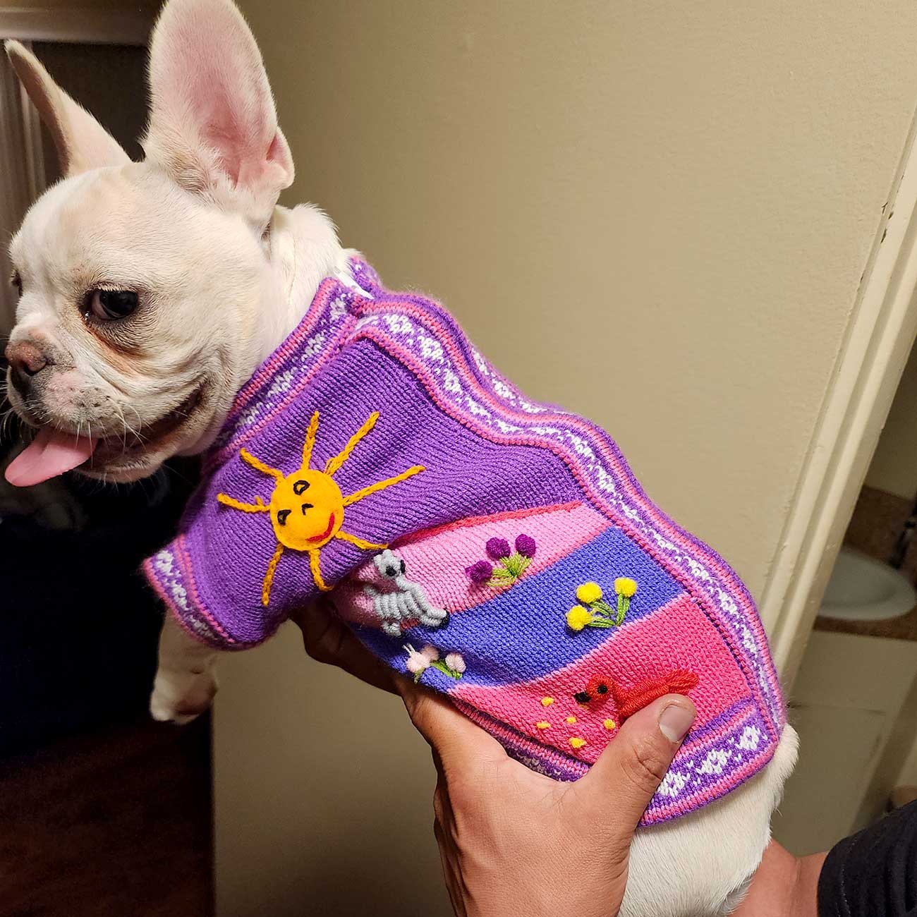 Peruvian Alpaca Pet Sweater with Zipper - Fashionable Apparel for Your Pet