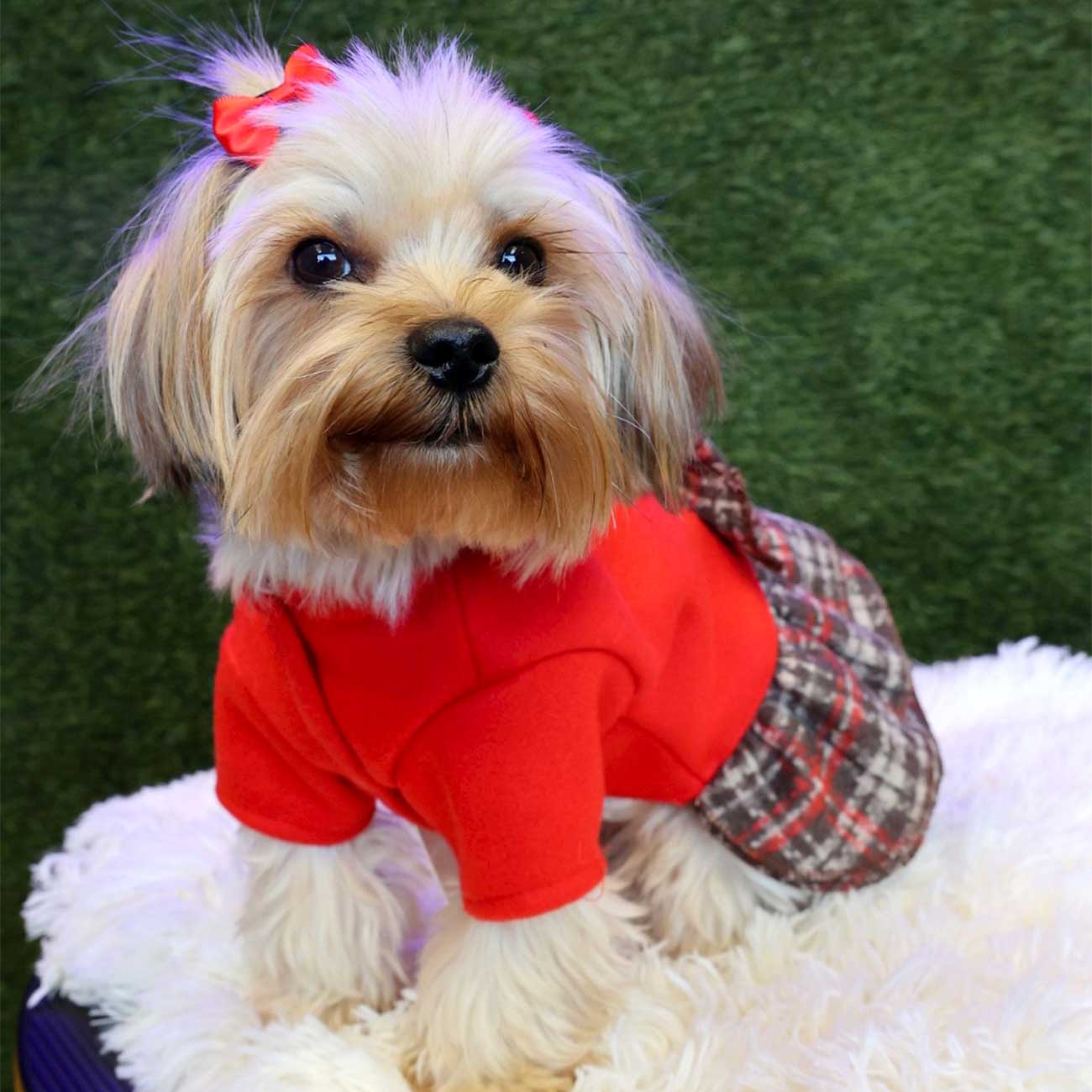 Red and Grey Plaid Pet Dress with Matching Ribbon - Stylish Attire for Small Pets