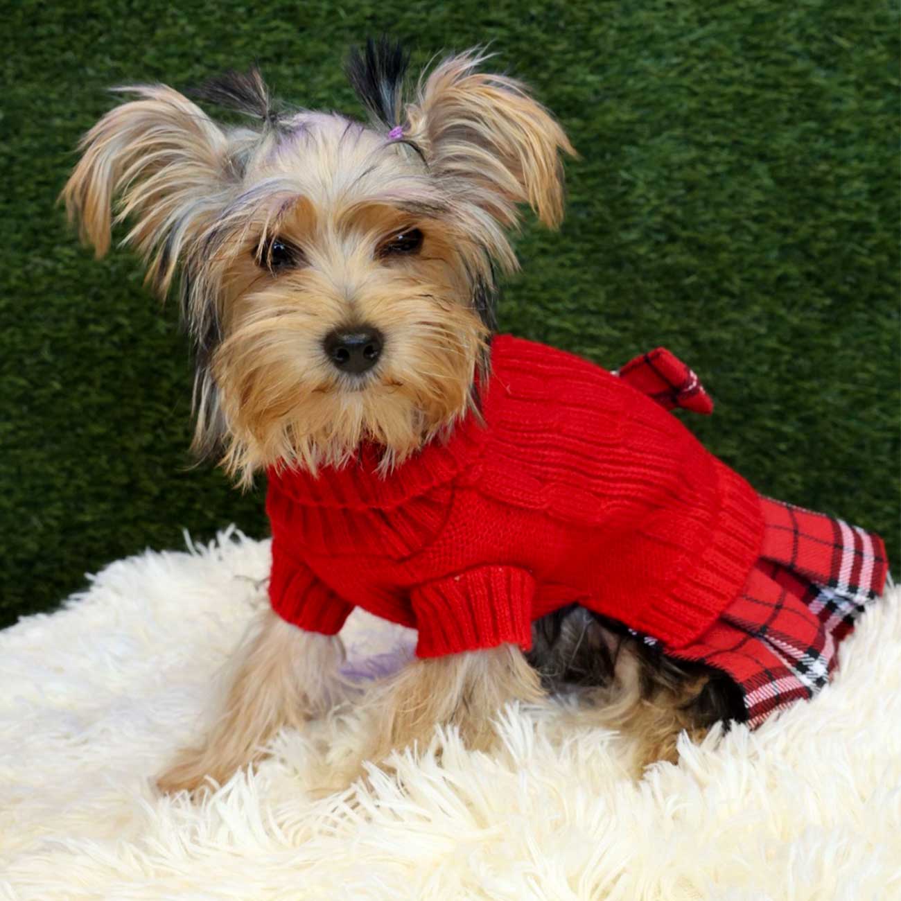 Red Plaid School Pet Dress - Classics Style for Small Pets