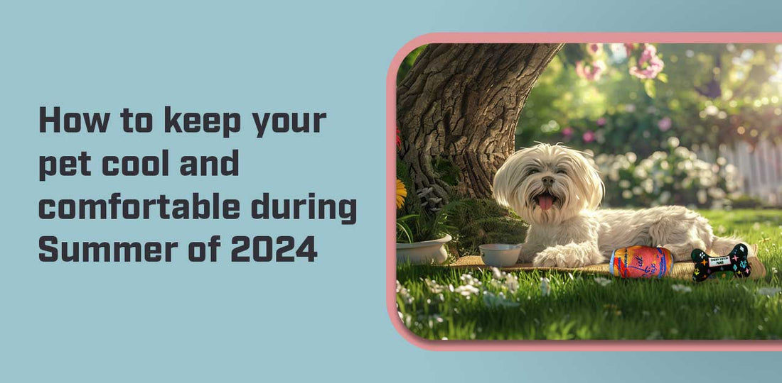 How to keep your pet cool and comfortable during Summer of 2024