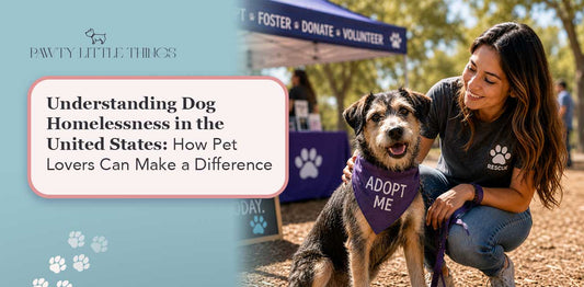 Understanding Dog Homelessness in the United States: How Pet Lovers Can Make a Difference
