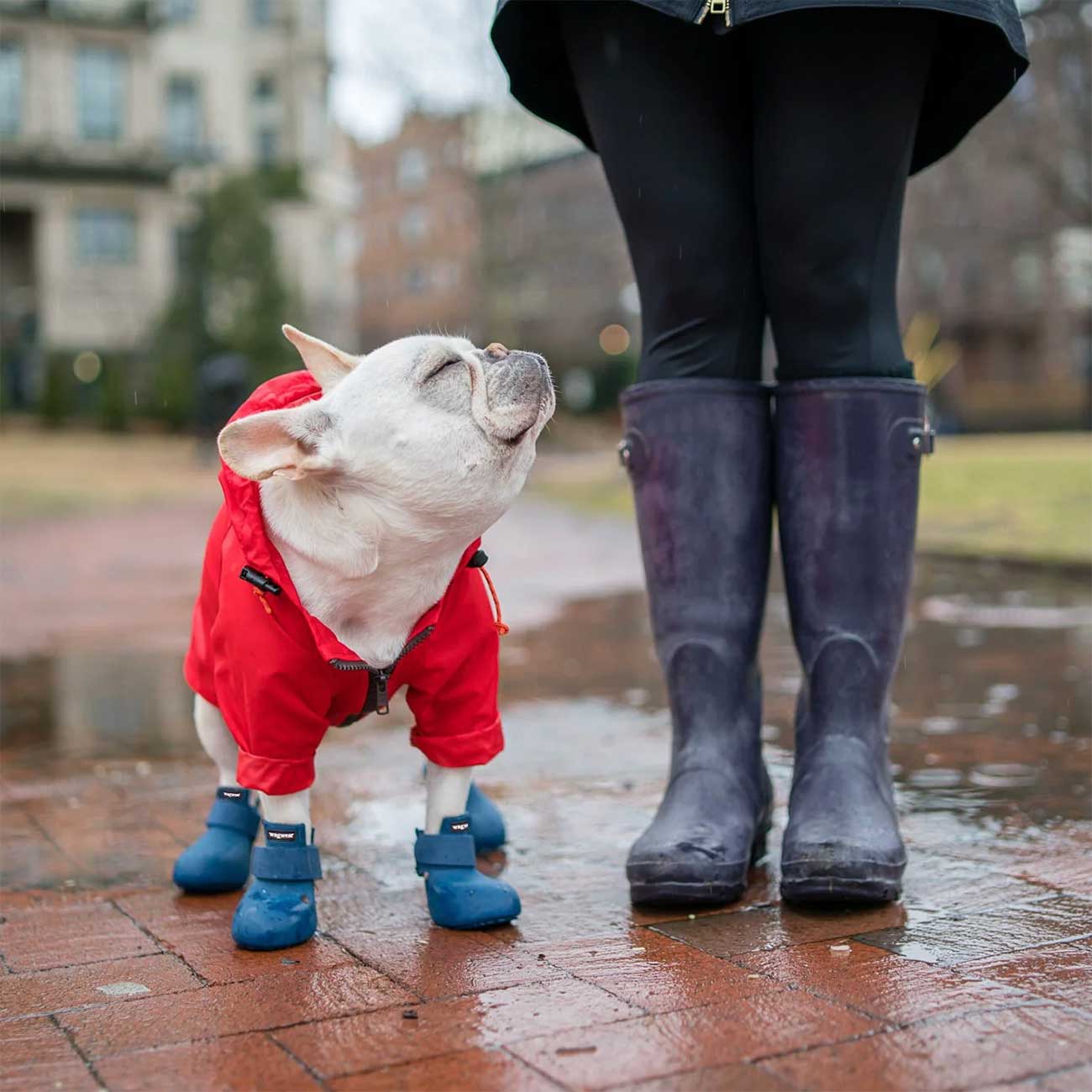 WAGWELLIES® Rubber Pet Boots - Durable Footwear for Your Pet