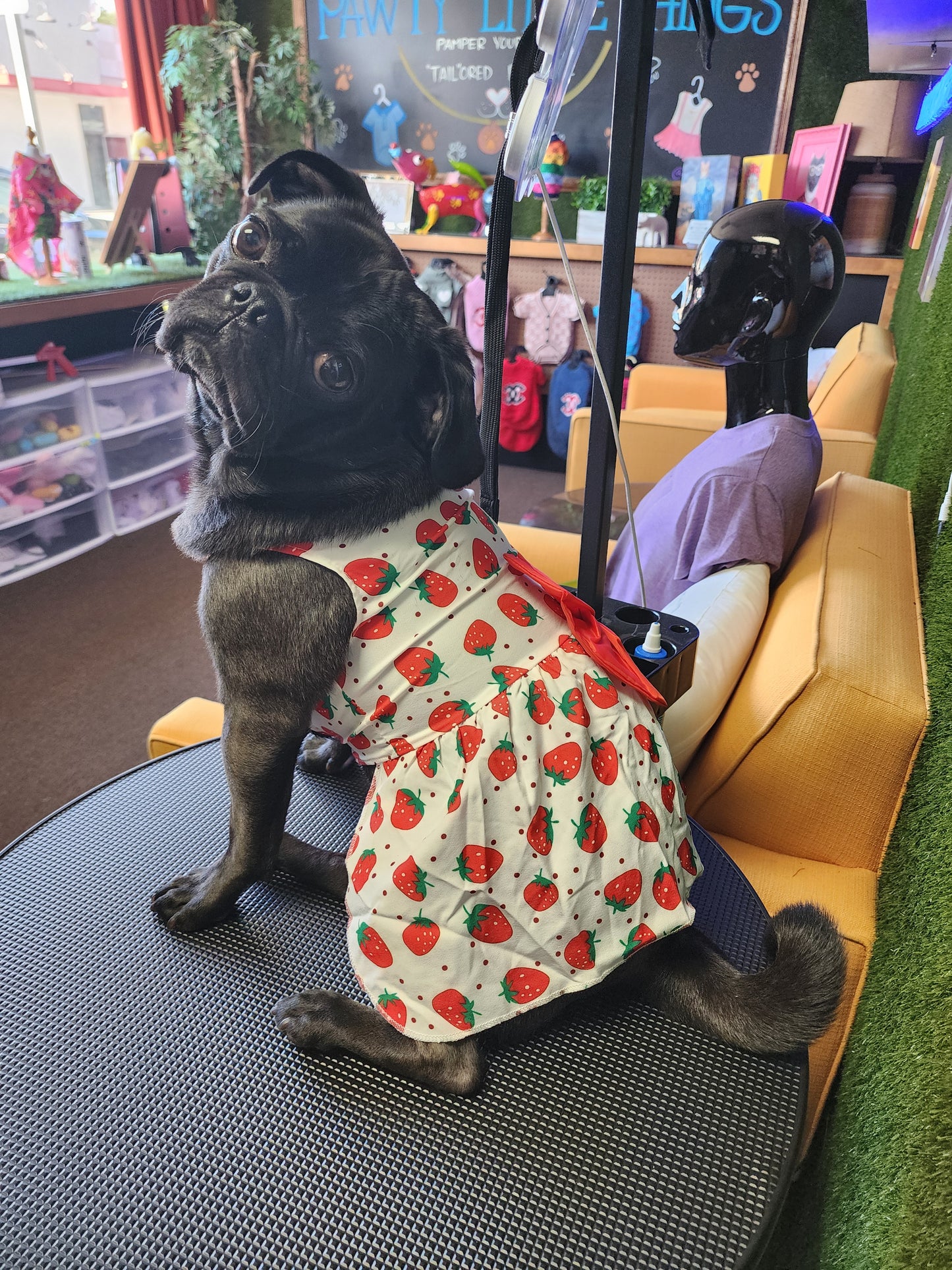 Stylish Bow Pet Dress