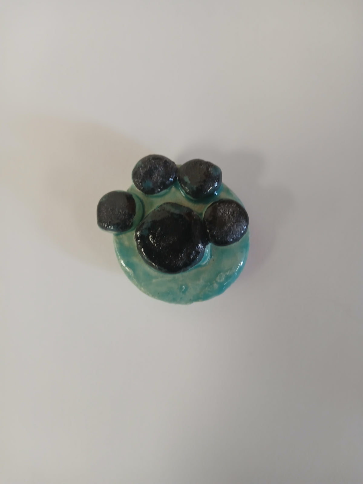 Pawprint Magnet: Circular Teal