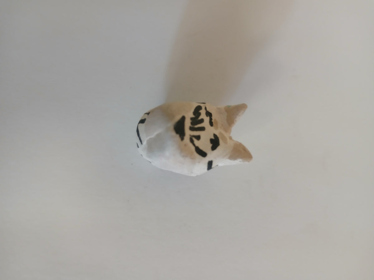 Dog Face Magnet: White and Brown Dog With Short Ears