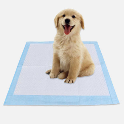 Odor-Eliminating Pet Pee Pads with Fast-Dry Gel