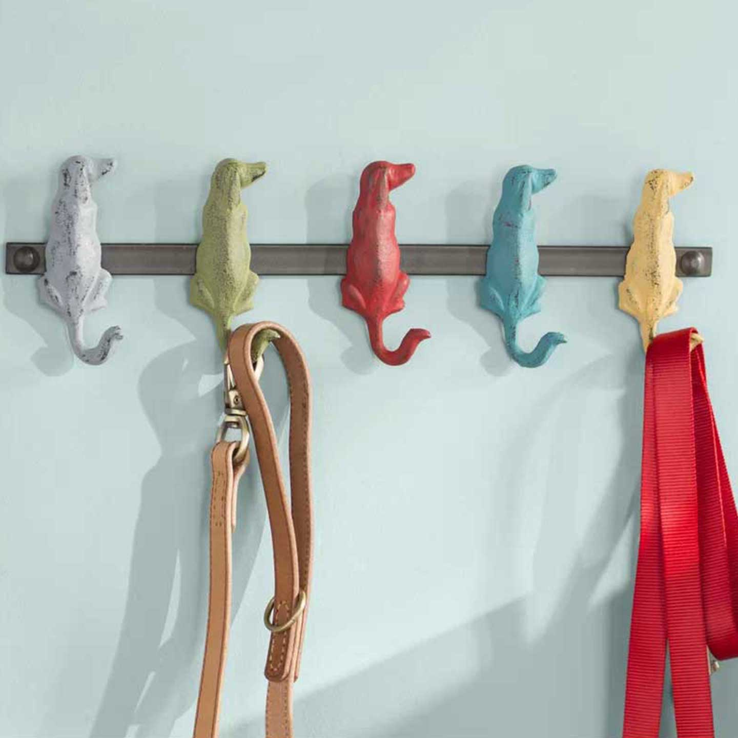 Stylish Multicolor Dog Leash and Coat Hanger