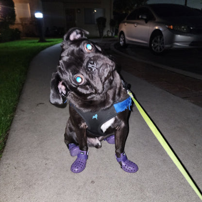 WAGWELLIES® Rubber Pet Boots with Ventilation Holes – Breathable Paw Protection