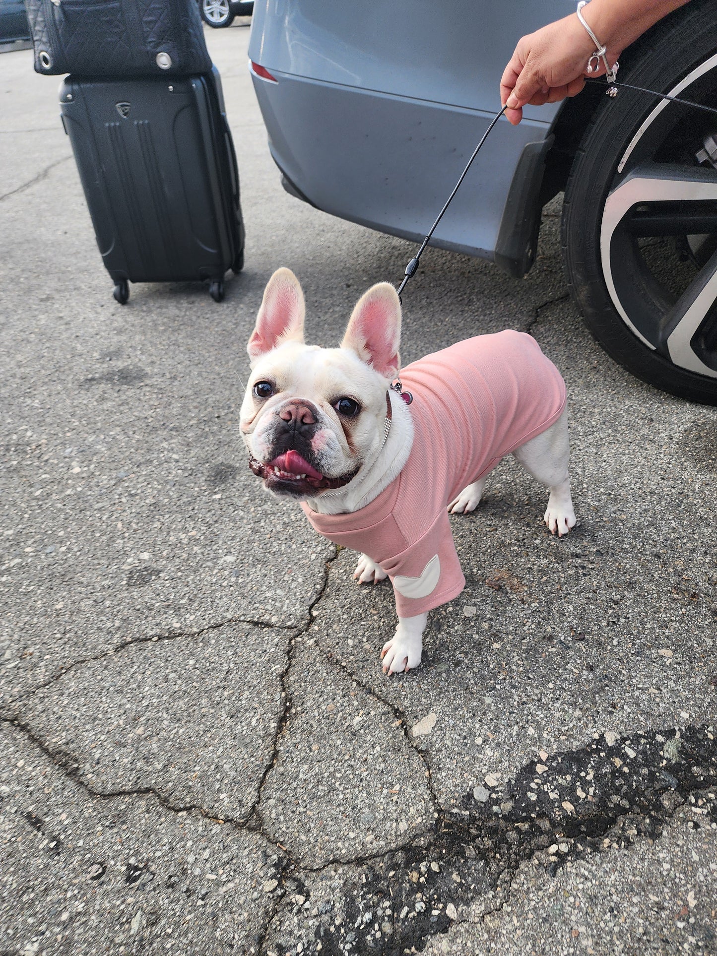 Heart Sleeve Dog Shirt