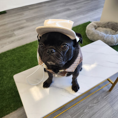 Furever Pet Hat