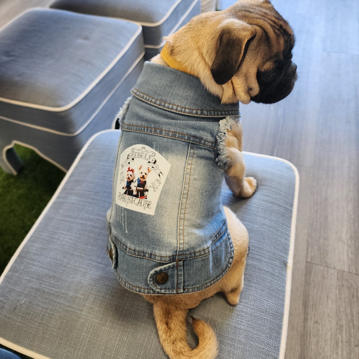Paws with a Cause Denim Pet Vests