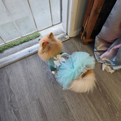 Teal Blue Princess Dog Dress – Elegant Tulle Skirt Pet Outfit for Dogs