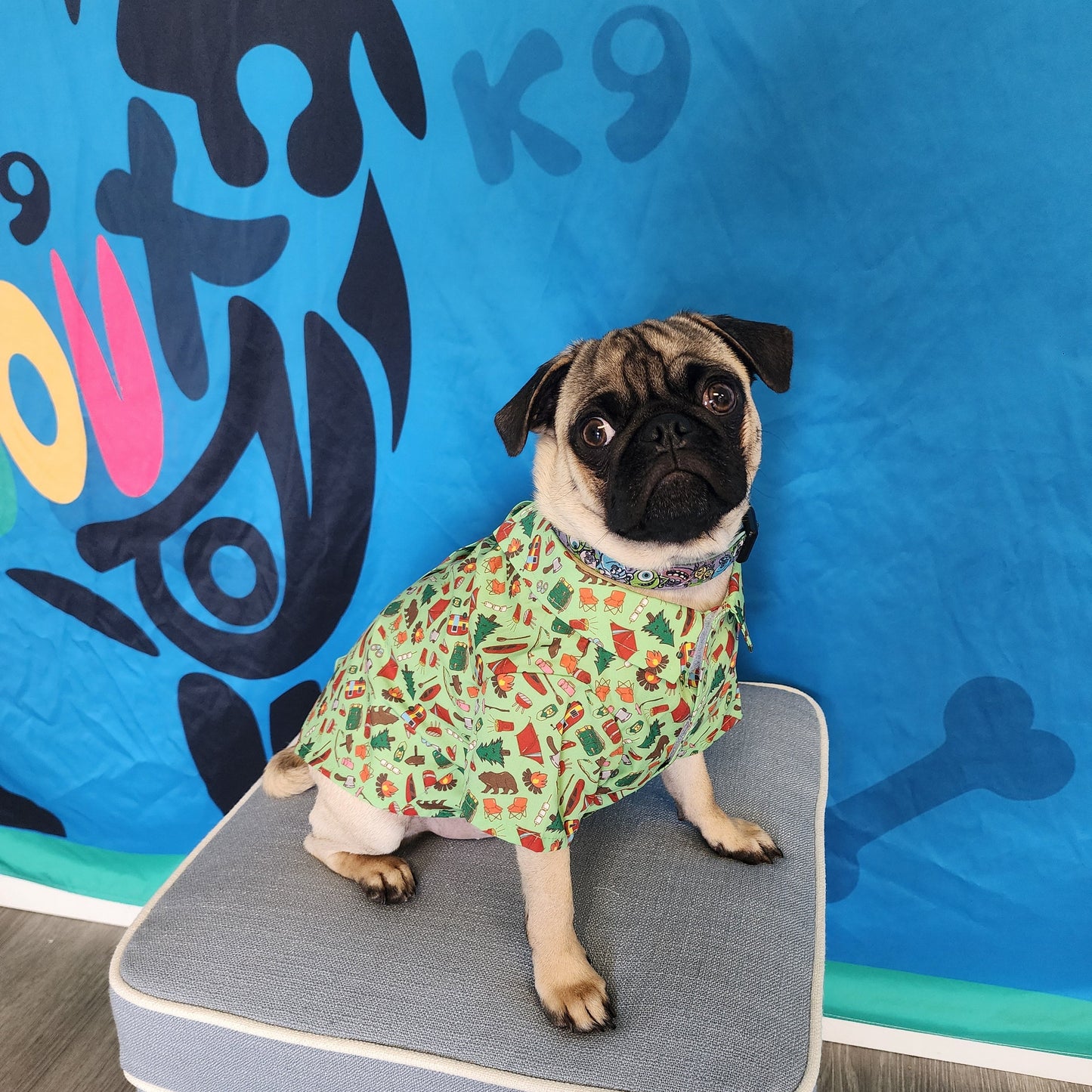 Happy Camper Dog Shirt