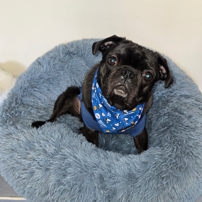 Dog Bandana – MLB x Peanuts™ Los Angeles Dodgers