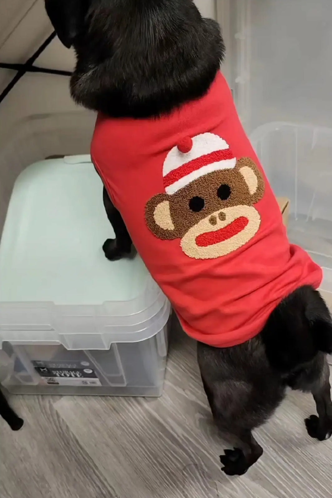 Sock Monkey Tee