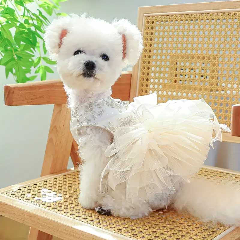 Adorable Bowknot Pet Dress