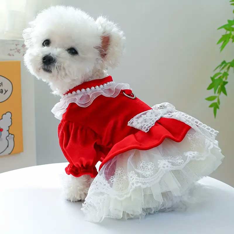 Cute Bowknot Lace Trim Pet Dress