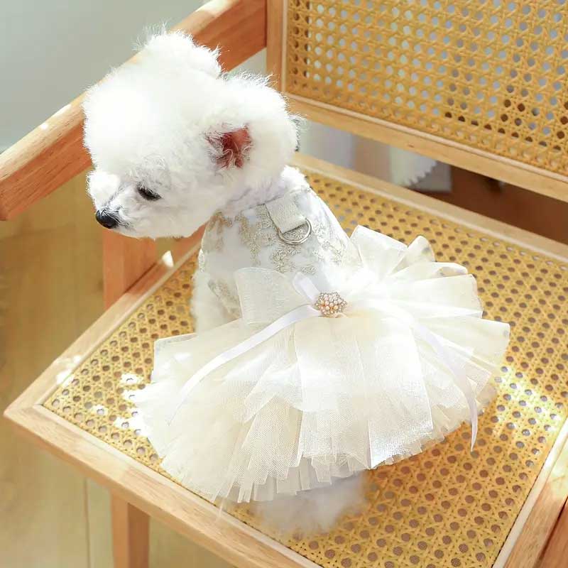 Adorable Bowknot Pet Dress