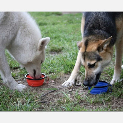 Portable Collapsible Silicone Travel Bowl for Pets - 12oz Bowl for Food and Water